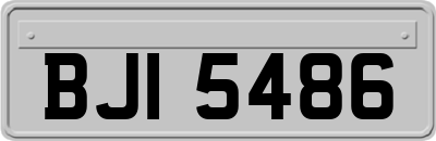 BJI5486