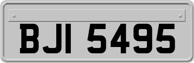 BJI5495