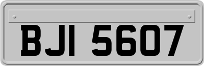 BJI5607