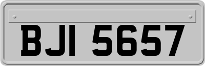 BJI5657