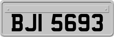 BJI5693