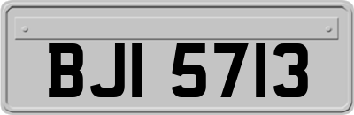 BJI5713