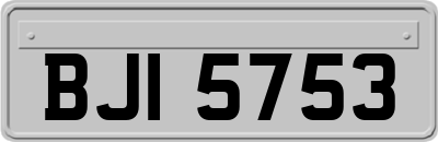 BJI5753