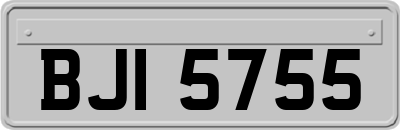 BJI5755