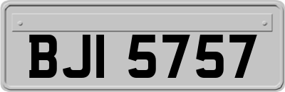 BJI5757