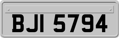 BJI5794