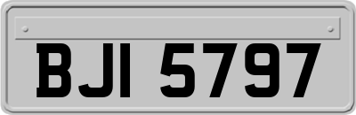 BJI5797