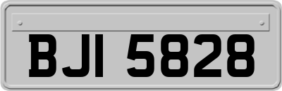 BJI5828