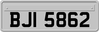 BJI5862