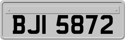 BJI5872