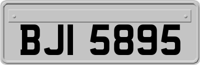 BJI5895