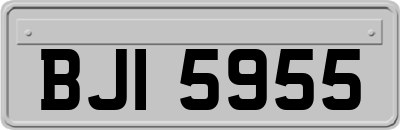 BJI5955