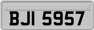 BJI5957