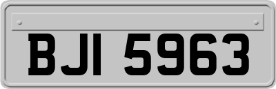 BJI5963