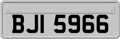 BJI5966