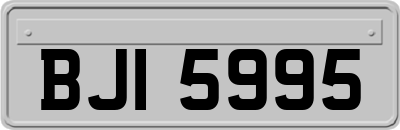 BJI5995