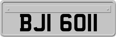 BJI6011