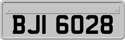BJI6028