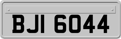 BJI6044