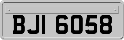 BJI6058