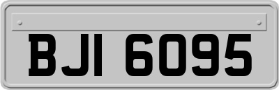 BJI6095
