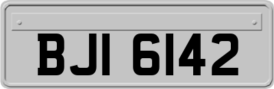 BJI6142