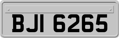 BJI6265