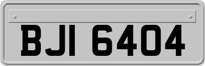 BJI6404