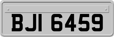 BJI6459