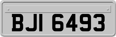 BJI6493
