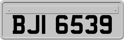 BJI6539