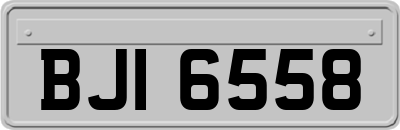 BJI6558