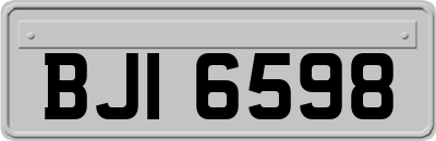 BJI6598