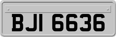 BJI6636