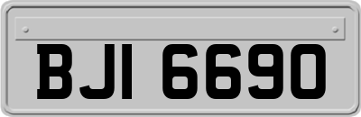 BJI6690