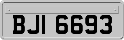 BJI6693