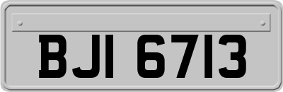 BJI6713