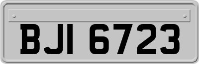 BJI6723