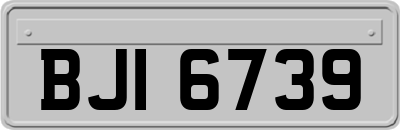 BJI6739