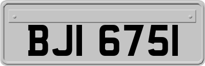 BJI6751