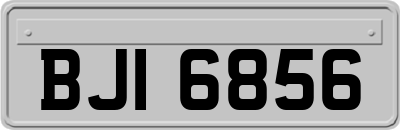 BJI6856