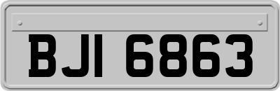 BJI6863
