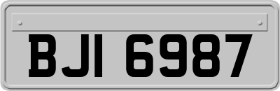 BJI6987