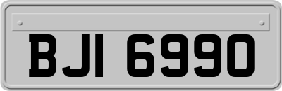 BJI6990