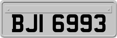 BJI6993