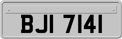 BJI7141