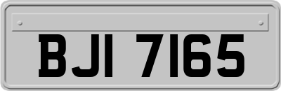 BJI7165