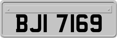 BJI7169