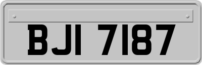 BJI7187