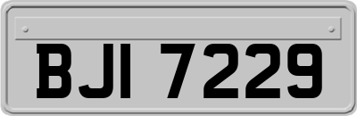 BJI7229